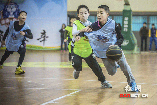 为什么智能指导能帮助提高篮球技能_0